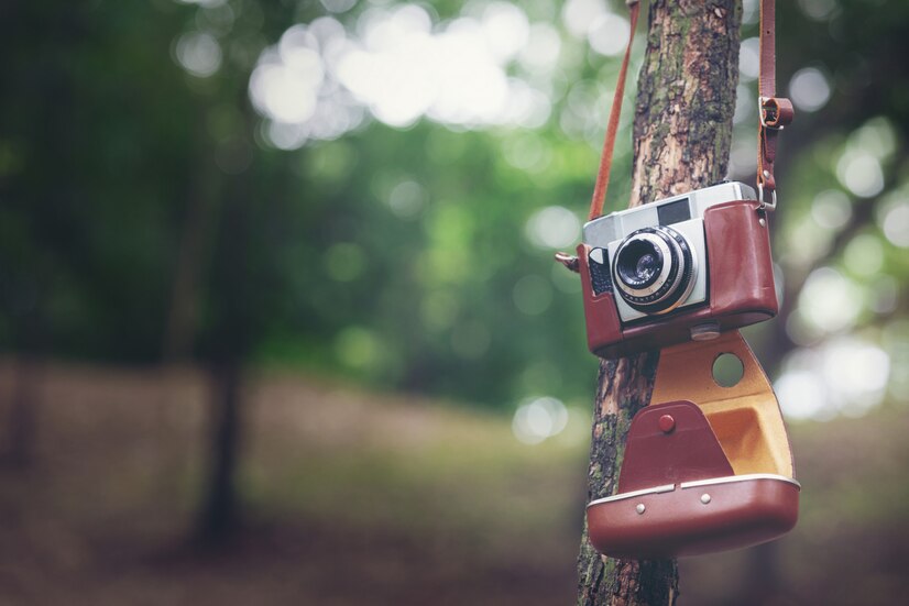 vinatge-camera-with-bokeh-nature-blackground_1150-18221